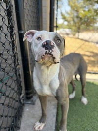 REMEY - Photo 1