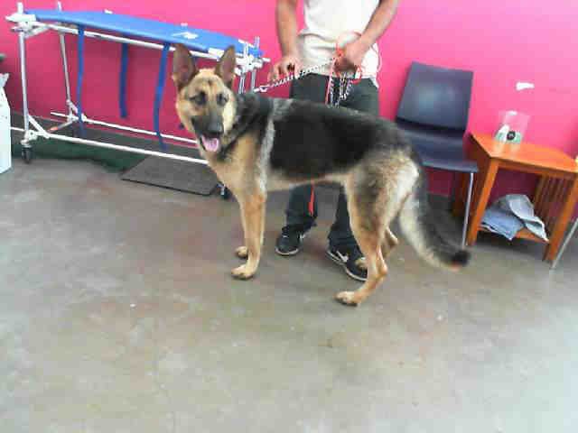 LOKI Image