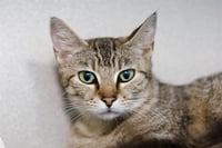PEACHES - Photo 1