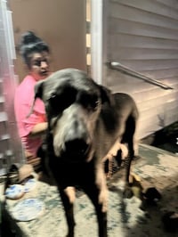 BELLA - Photo 1