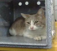 LOLA - Photo 1