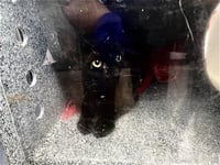 LUNA - Photo 1