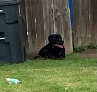 CLYDE - Photo 1
