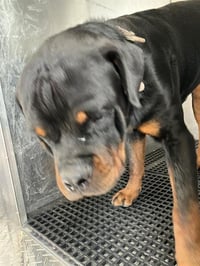 ZEUS - Photo 1
