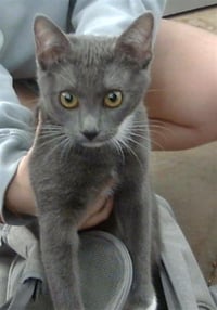 RUBI - Photo 1