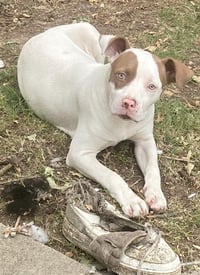 NOVA - Photo 1