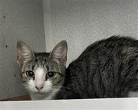 WINNIE - Photo 1