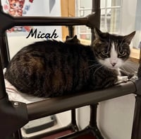 Micah - Photo 2