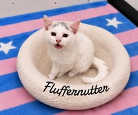 Fluffer Nutter - Photo 1