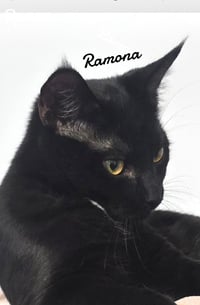 Ramona - Photo 1