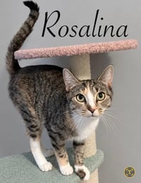 Rosalina - Photo 1