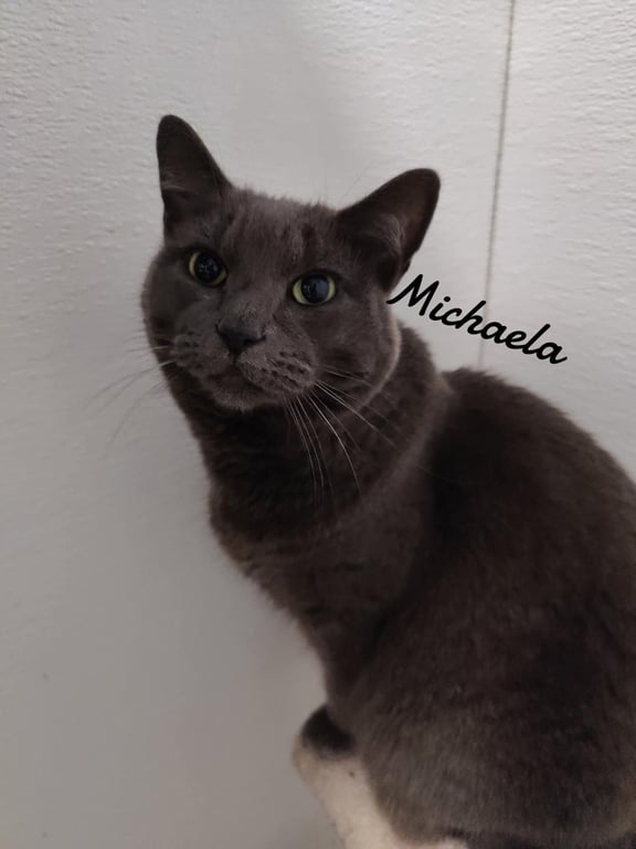 Michaela Image