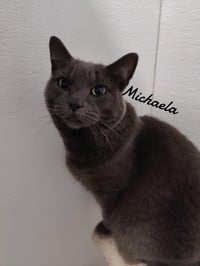 Michaela - Photo 1