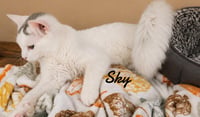 Sky - Photo 1