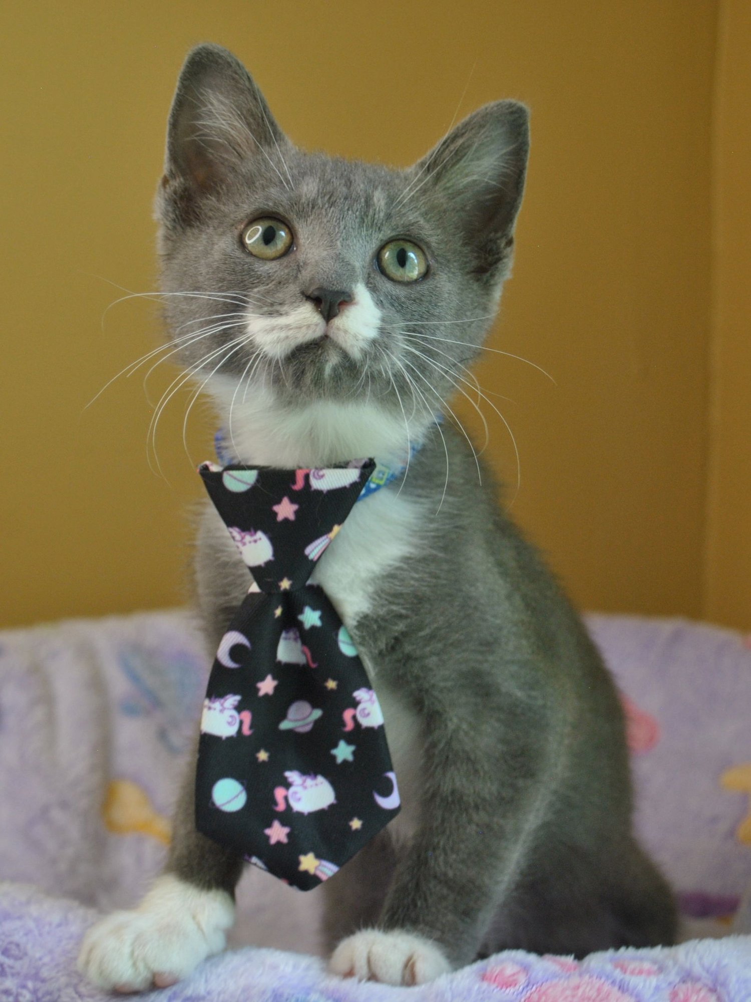 Gentleman Jack - Photo 12