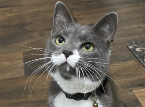 Gentleman Jack - Photo 3