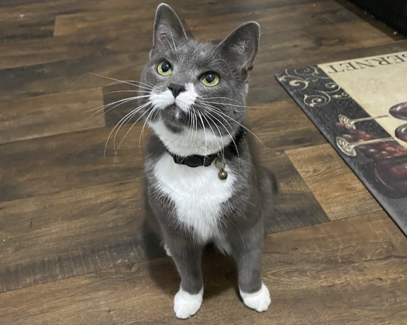 Gentleman Jack - Photo 6