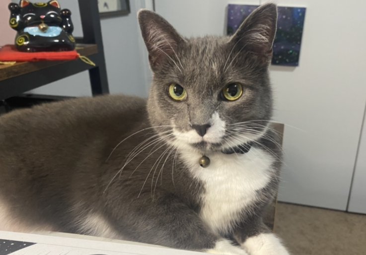 Gentleman Jack - Photo 7