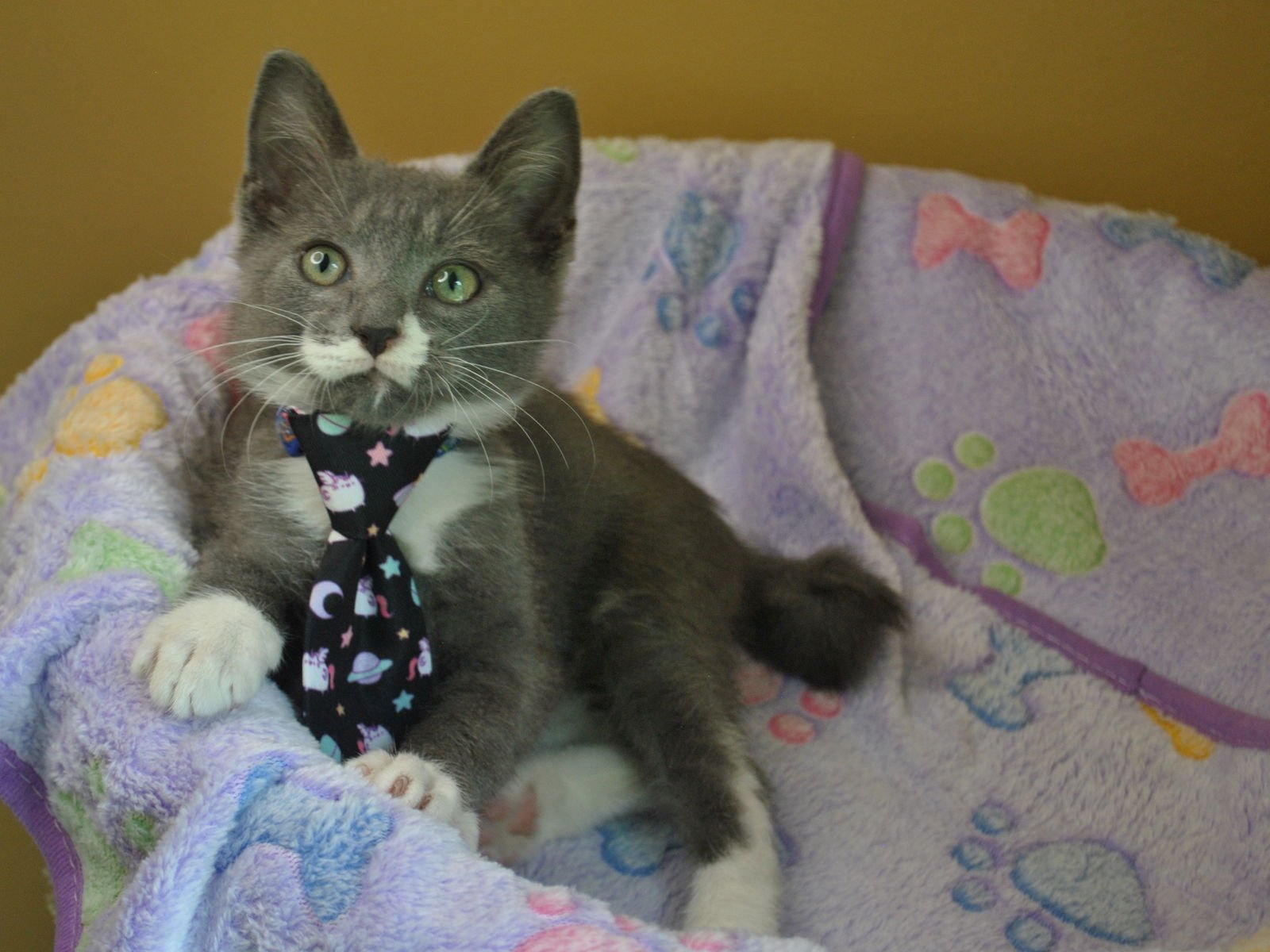 Gentleman Jack - Photo 9