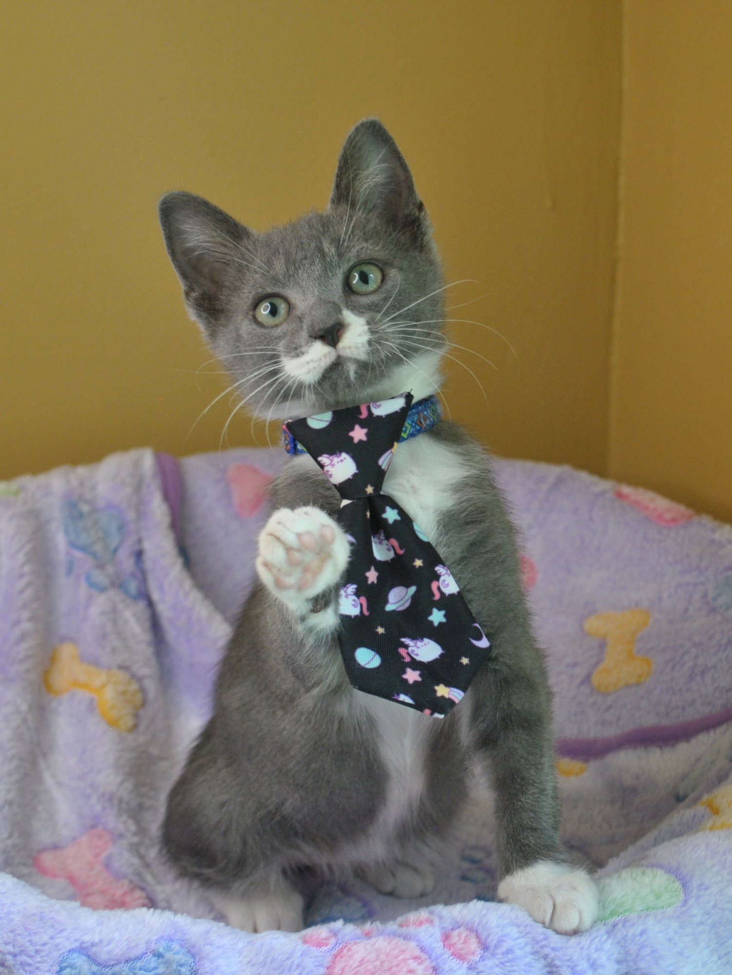 Gentleman Jack - Photo 10