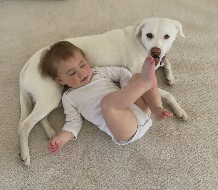 Baileyville / Zoey Image