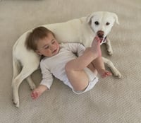 Baileyville / Zoey - Photo 1