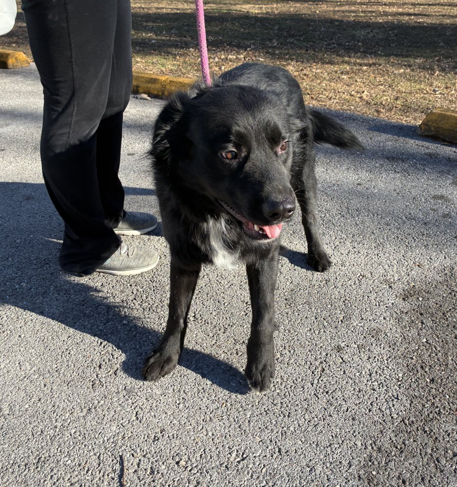 Barahona / Badger - Photo 3