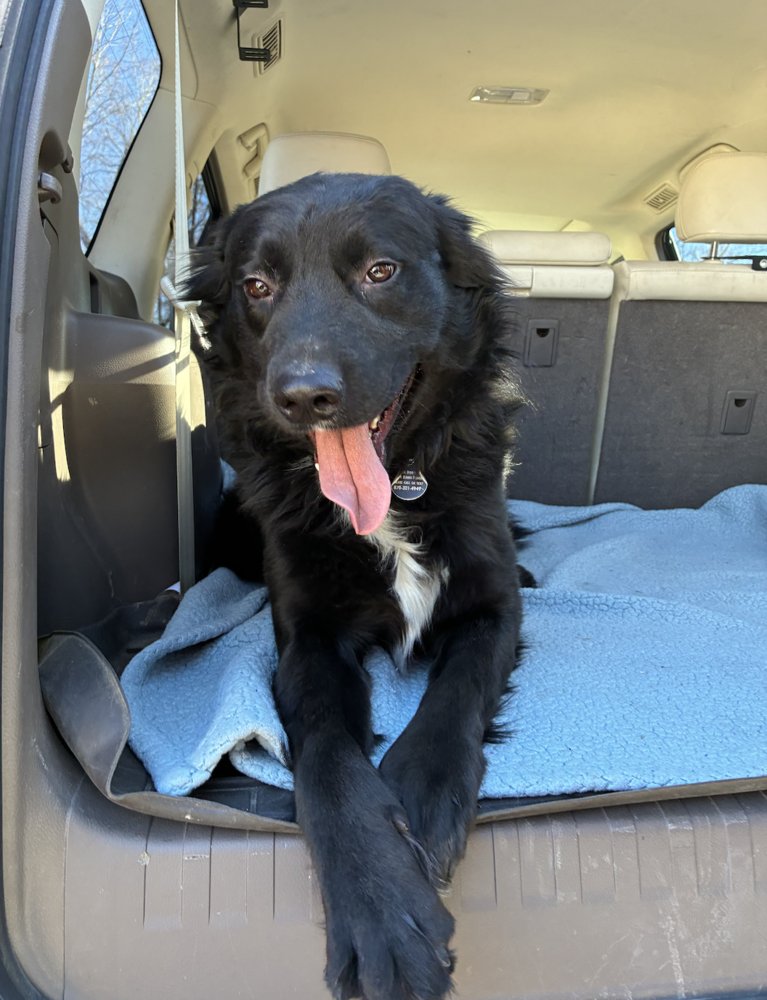 Barahona / Badger - Photo 4