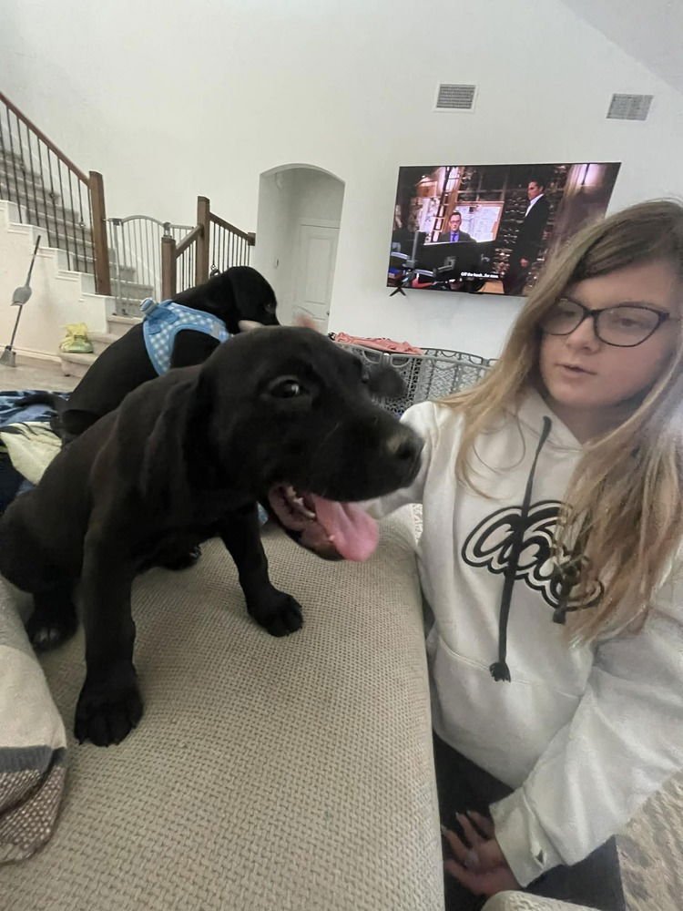 Cardwelle / Lily - Photo 4