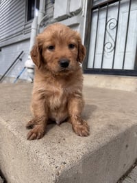 Chernomaz / Canyon - Photo 3