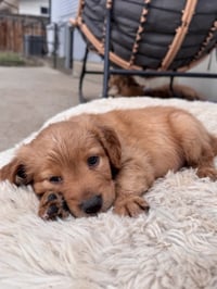 Chernomaz / Canyon - Photo 4