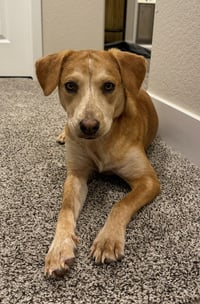 Coltonobre / Callie - Photo 1