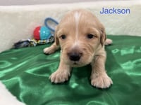 Clendening / Jackson - Photo 2