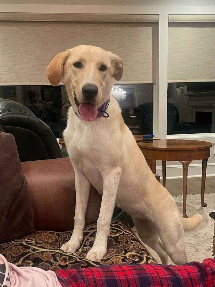 Campanale / Carrie - Photo 2