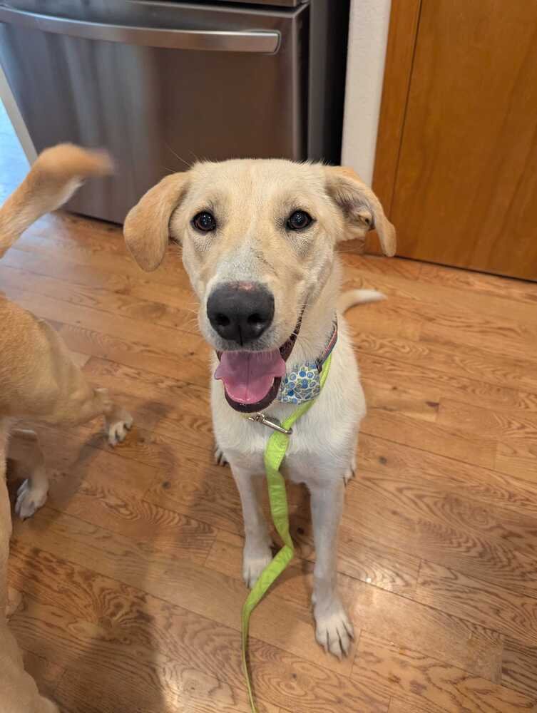 Campanale / Carrie - Photo 3