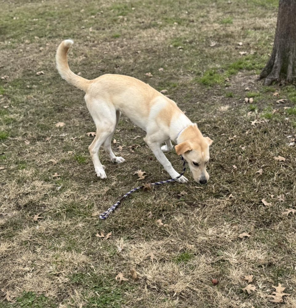 Campanale / Carrie - Photo 4