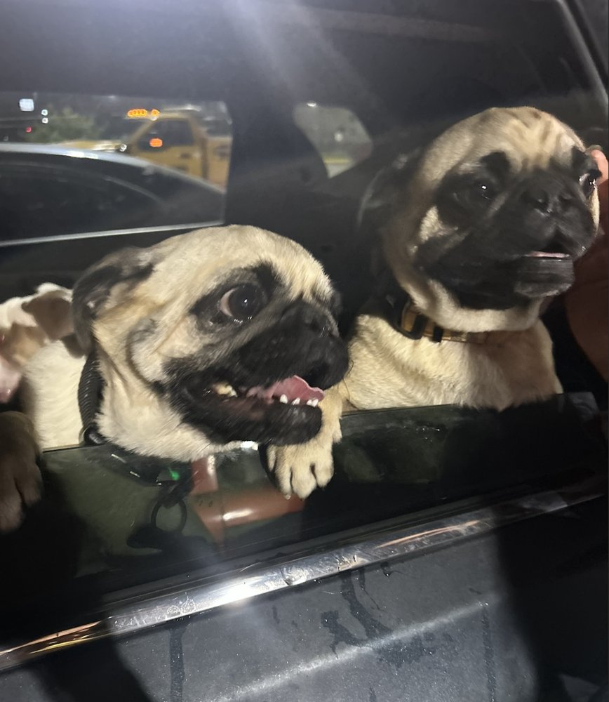 Clune / Max - Photo 2