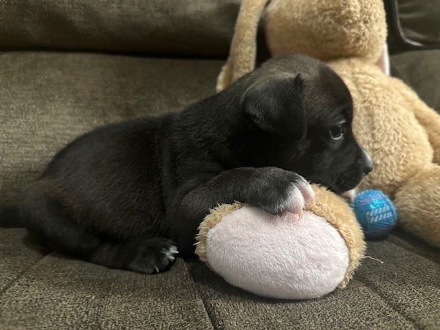 Backlund / Max - Photo 3