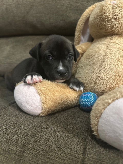 Backlund / Max - Photo 4