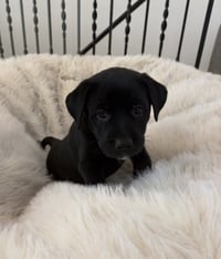 Charlebois / Mya - Photo 1