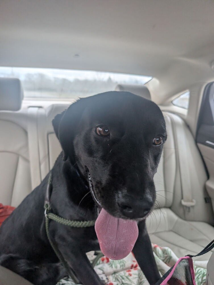 Capuano / Lightning - Photo 3