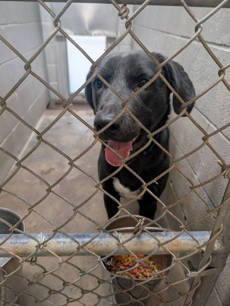 Capuano / Lightning - Photo 4