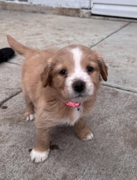 Cherepanov / Oakley - Photo 3