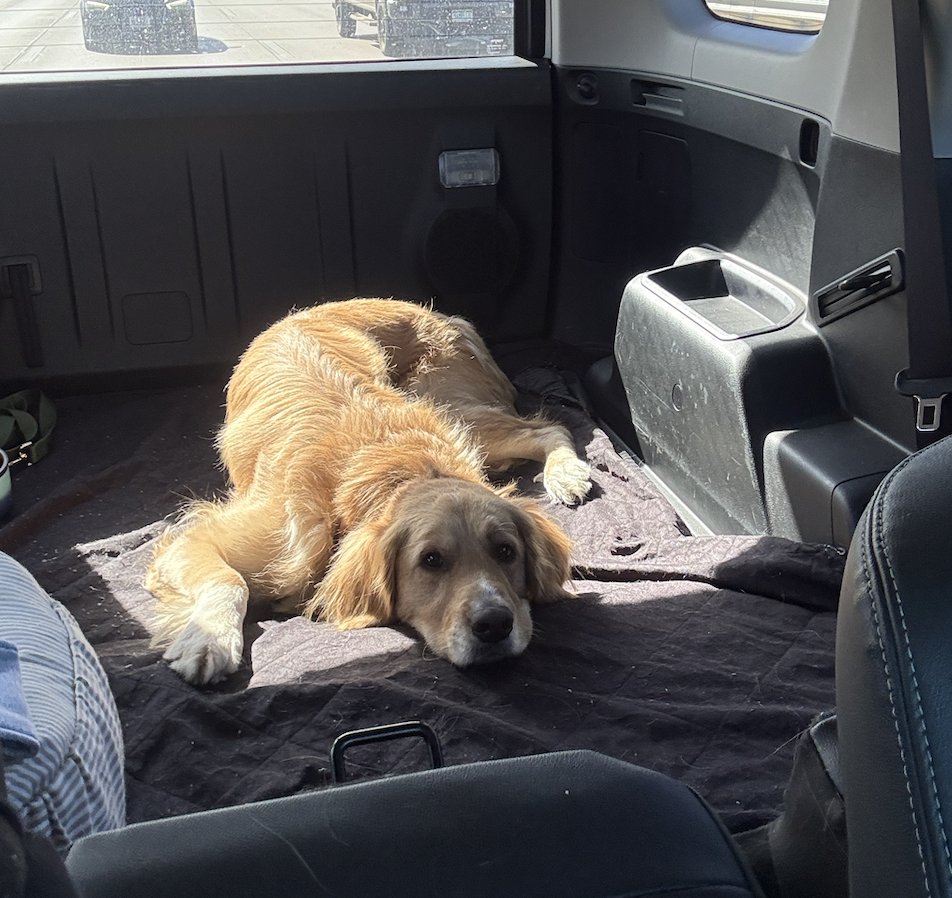 Branckerton / Bruno - Photo 3