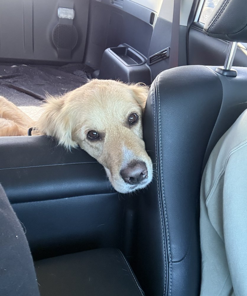 Branckerton / Bruno - Photo 4