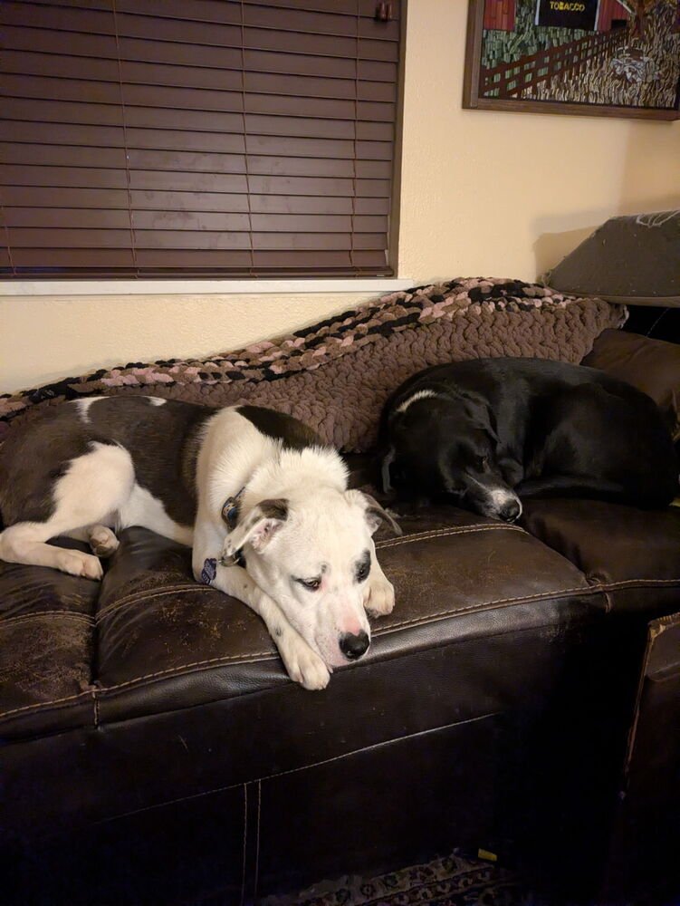 Bxhekaj / Pinkie - Photo 3