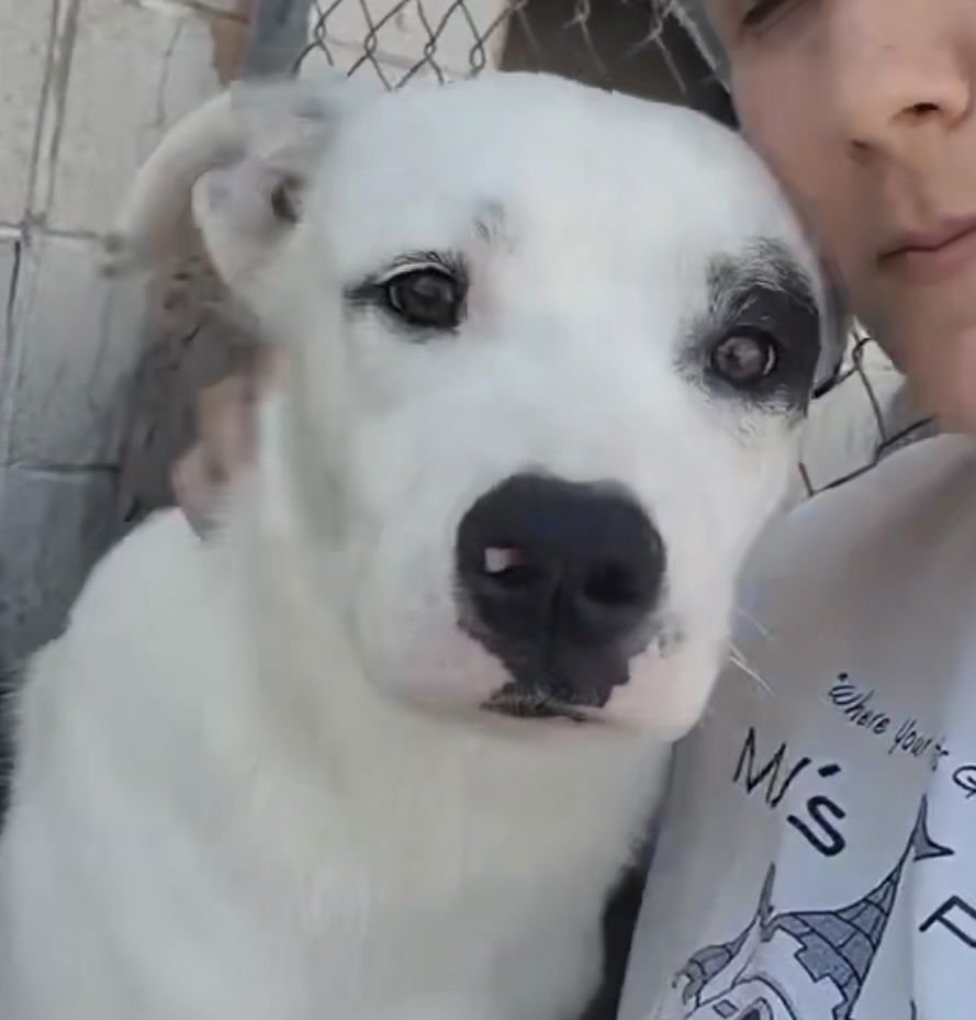 Bxhekaj / Pinkie - Photo 4