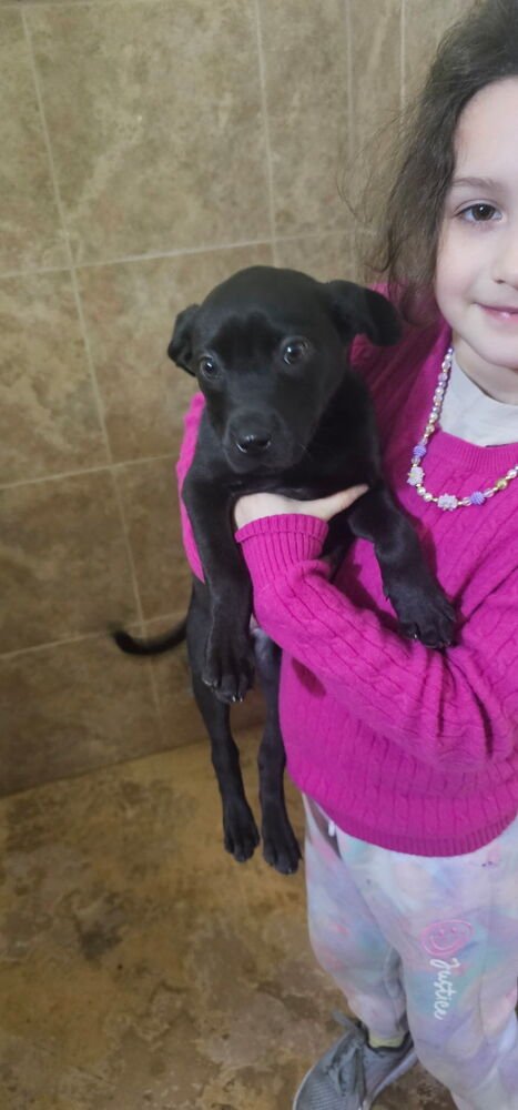 Bekare / Velma - Photo 4