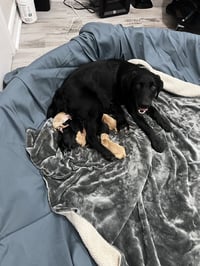 Cleary / Colt - Photo 4