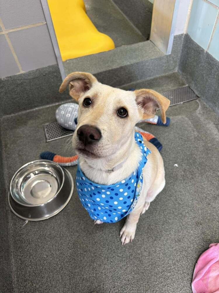 Chrisstiee / Tonka - Photo 3